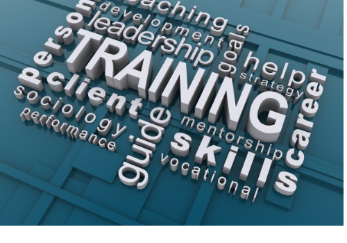 Workforce training and development